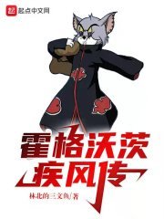 (HP/火影同人)霍格沃茨疾风传