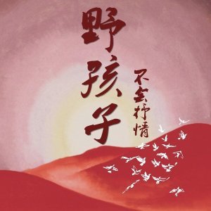 野孩子